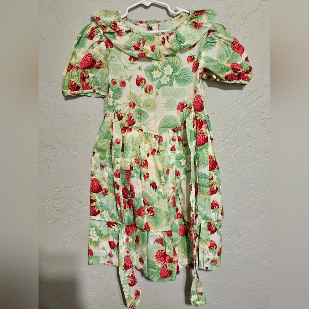 Plum Pudding LTD vintage strawberry tiered dress